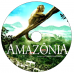4 DVDs - Tainá e Amazônia Kits