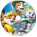 20 DVDs - Patrulha Canina Paw Patrol 1a, 2a, 3a, 4a e 5a Temp Kits