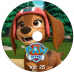 33 DVDs - Patrulha Canina Paw Patrol 1a, 2a, 3a, 4a, 5a, 6a, 7a, 8a Temp + Episódios da 9a Temporada Kits